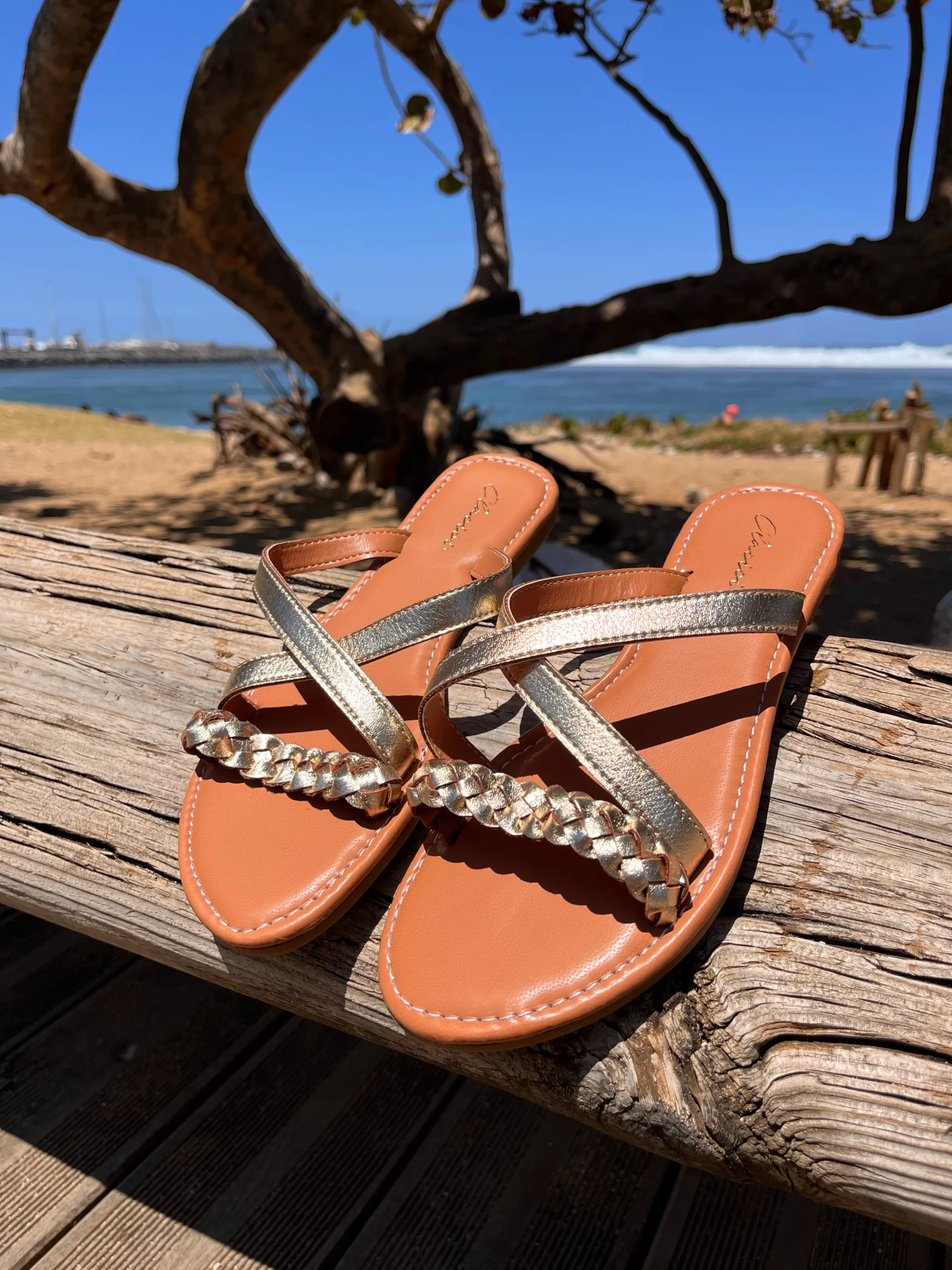 OPHELIAN – Image 2